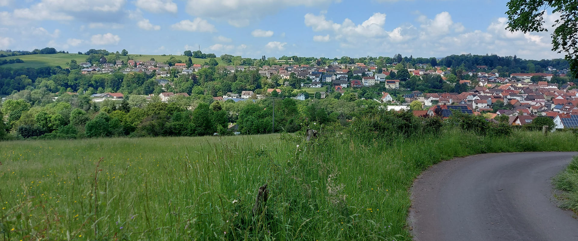 Blick_auf_Gedern